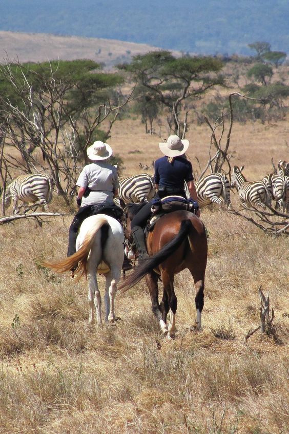 Horseback Safaris