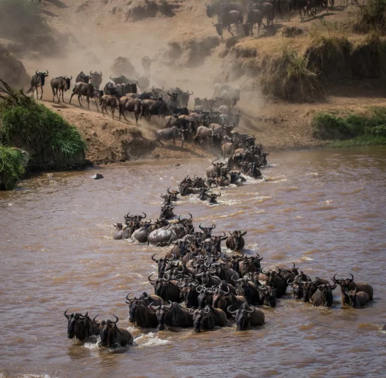 Serengeti NP